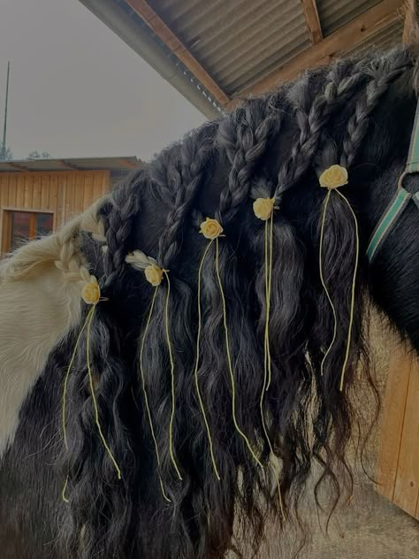 Braids For Horses, Horse Hair Styles, Horse Hairstyles, Mane Braids, Horse Mane Braids, Horse Braids, Horse Hair Braiding, Horse Braiding, Flower Braids