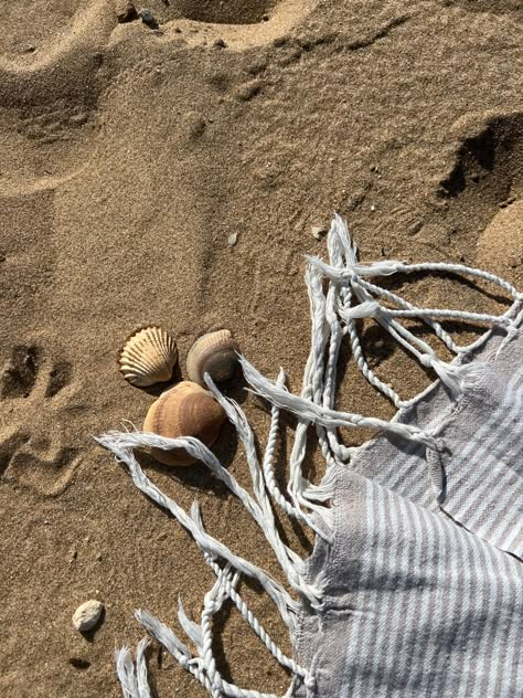 Salty Hair Aesthetic, Sandy Aesthetic, Sandy Hair, Italian Summer Aesthetic, Salty Hair, Summer Surf, Italian Summer, Aesthetic Pastel Wallpaper, Beach Photoshoot