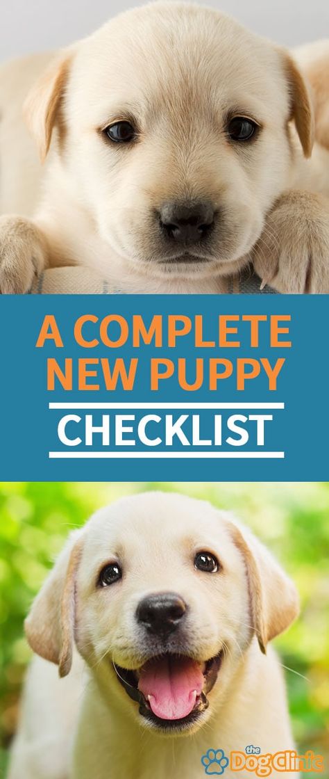 Not sure what to buy for your new puppy? Here's a complete list of essential items, including treats, supplies, bedding, and more. #dogs #puppies What To Buy For New Puppy, New Puppy Necessities, Puppy Items List, Puppy Supplies List, Dog Clinic, Puppy Essentials, Dog Supplies List, Puppy Items, Puppy List