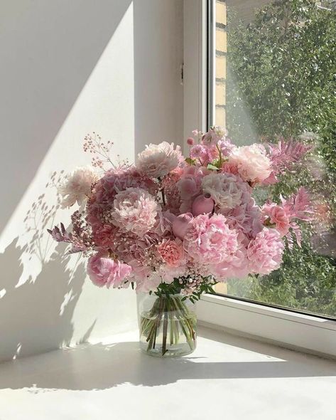 Pink Flowers, Vase, Flowers, Pink, White