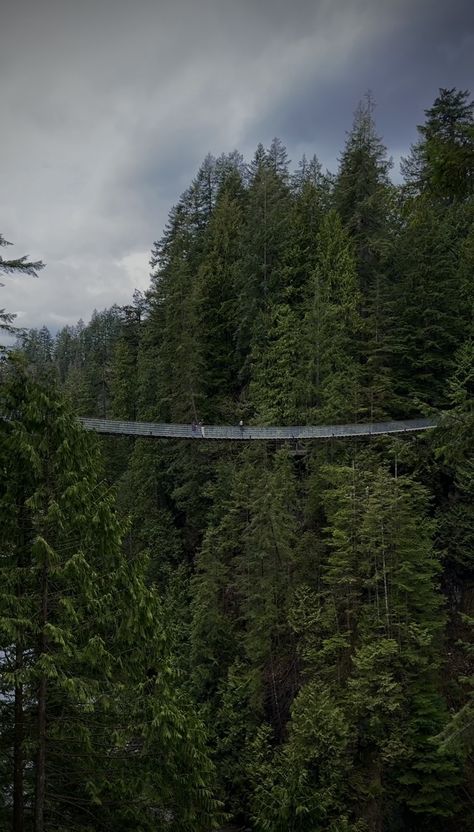 Check out the Capilano Suspension Bridge located in North Vancouver, BC. Follow @pnwraeabby - tiktok @rae.abby - IG pnwraeabby I post pnw info, trails, scenic drives, unique places to stay, camping gear, apparel and my favorite products. Pnw, pacific northwest, Washington, Oregon, Idaho, Alaska, BC, pnw trails, adventure, explore, forest, nature, outdoors, hike, trails, hiking, camping, camp, visual therapy, aesthetic, nature aesthetic Vancouver Aesthetic, Pacific Northwest Trail, Therapy Aesthetic, Visual Therapy, Capilano Suspension Bridge, Aesthetic Nature, Unique Places, North Vancouver, Forest Nature