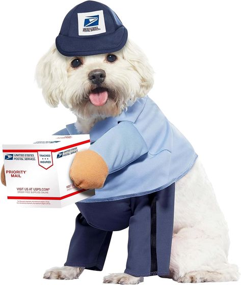 Dog Mail Carrier Costume USPS Large #Ad Mail Carrier Costume, Easy Guy Costumes, Dog Costumes For Halloween, Best Dog Halloween Costumes, Dog Lion Mane, Small Dog Costumes, California Costumes, Costumes For Halloween, Mail Carrier