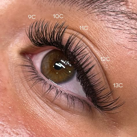 📍Lash Formula: Cat Eye Royal Cashmere Lashes C Curl .15 Classic Lash Extensions Cat Eyes, Classic Lash Extensions Map, C Curl Lash Map, Cashmere Lashes Extensions, Cat Eye Classic Lash Extensions Map, Classic Lash Extensions Mapping C Curl, Classic Cat Eye Lash Extensions Mapping, Eye Lash Extensions Map, Cat Eye Mapping Classic