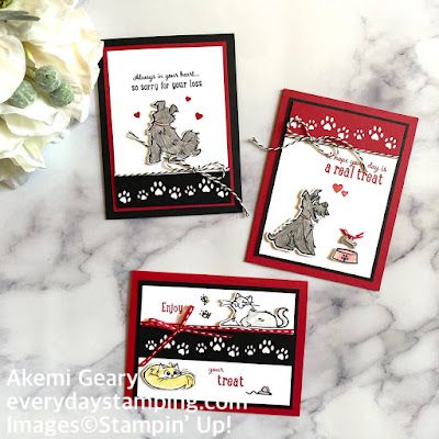 Pampered Pets Red & Black Cards Dog Sympathy Card, Homemade Holiday Cards, Black Cards, Pet Sympathy Cards, Pampered Pets, Hand Stamped Cards, Pet Sympathy, Dog Cards, Su Cards