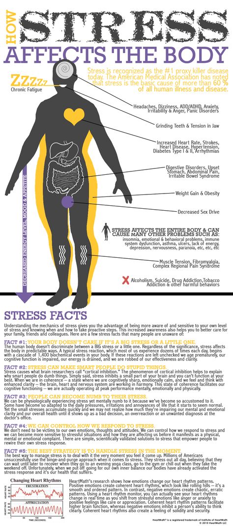 How Stress Affects the Body [Infographic] Aloe Gel, Diet Vegetarian, Yoga Photography, Yoga Sequences, Burn Out, Morning Yoga, Pilates Workout, Health Info, Yoga Flow