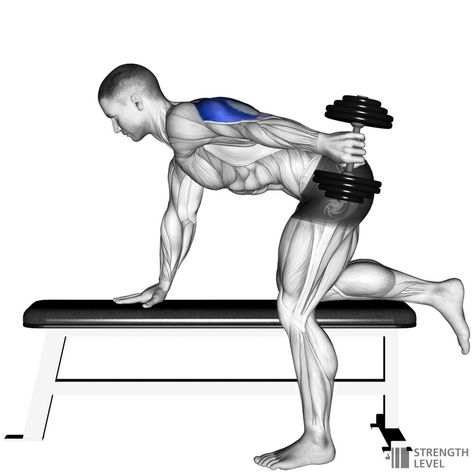 Standards For Men, Dumbbell Tricep, Tricep Kickback, Triceps Workout, Weights Workout, Body Weight, Mens Fitness, Gym, Men And Women