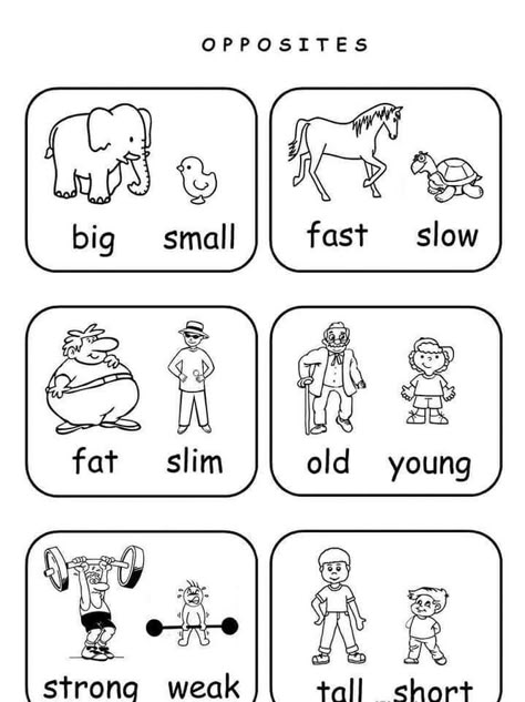 Teach English To Kids, English Worksheets For Kindergarten, Grammar For Kids, Homeschool Preschool Activities, English Activities For Kids, Kids Worksheets Preschool, Worksheet For Kids, Learning English For Kids, Kindergarten Learning Activities