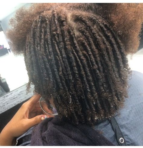 I'm thinking about using this method to start my locs. These are gorgeous! Small Comb Coil Starter Locs, Coils Starter Locs, Starter Loc Sizes, Comb Coil Starter Locs, Coil Starter Locs, Starter Locks, Start Locs, Twa Natural Hair, Comb Coils