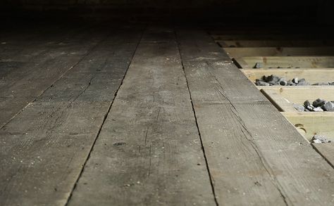 Workshop Floor From Scaffold Boards - The English Woodworker Board Flooring, Scaffold Boards, Garage Conversion, Highland Homes, Scaffolding, Garden Shed, The English, Future House, Wood Floors