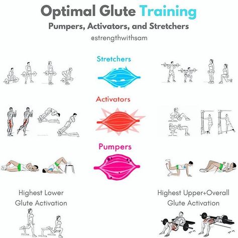 Stretchers: These should be done every 3-4 days for usually 3-5 sets of 5-12 reps. __ Activators: Should be done every 2-3 days for usually 3-5 sets of 8-15 reps. __ Pumpers: These are usually done for 2-5 sets of 15-30 reps, 3-6 days/week. Glute Targeted Workout, Glute Lab Workout, Glute Vs Hamstring Rdl, Leg Press Glute Focus, Gym Training Program, Glute Focused Step Ups, Glute Guy, Glute Training, Back Squat