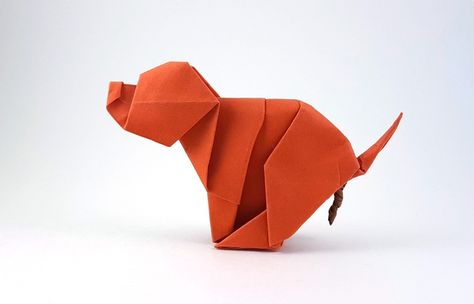 Origami Dogs - Page 5 of 10 | Gilad's Origami Page Dog Origami, Pooping Dog, Origami Books, Easy Origami Animals, Origami Dog, Origami Animal, Origami Book, Blue Scrapbook, Origami Step By Step