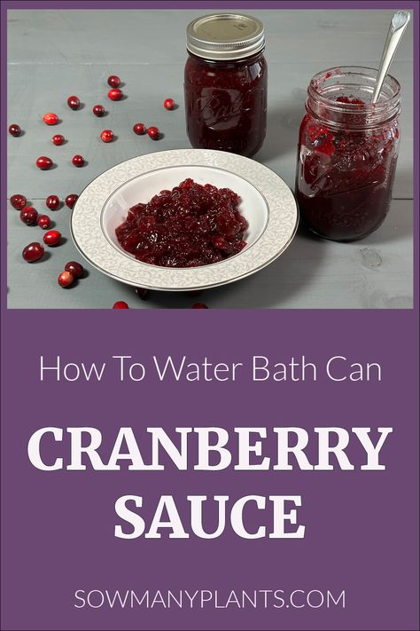 Pinterest Pin for How To Water Bath Can Cranberry Sauce. Picture of cranberry sauce in a bowl with two mason jars of water bath canned cranberry sauce. Cranberry Sauce Canning Recipe, Can Cranberry Sauce, Canning Cranberry Sauce, Canning Cranberry, Fall Canning, Canning Water, Water Bath Canning Recipes, Canning Rack, Canned Cranberries