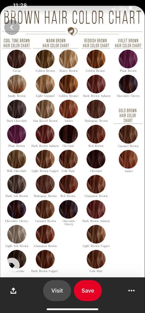 Brown Hair Color Chart, Fall Winter Hair Color, Brown Hair Shades, Fall Hair Color Trends, Hair Color Streaks, Brown Hair Color, Fall Hair Cuts, Hair Color Chart, Fall Hair Color For Brunettes