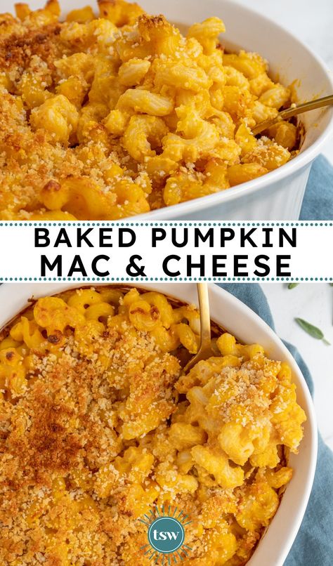 Baked Pumpkin Mac and Cheese - The Schmidty Wife Pizza Potatoes, Easy Pumpkin Pasta, Pumpkin Baby Food, Pumpkin Pasta Bake, Side Dishes For Ribs, Easy Mac N Cheese Recipe, Pumpkin Recipes Dinner, Pumpkin Mac And Cheese, Easy Mac And Cheese