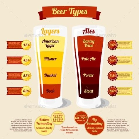 Types Of Beer Infographic - Conceptual Vectors Beer Infographic, Craft Beer Packaging, Beer Types, Beer Guide, Types Of Beer, Brewing Recipes, Beer Pairing, Beer 101, Brewing Beer