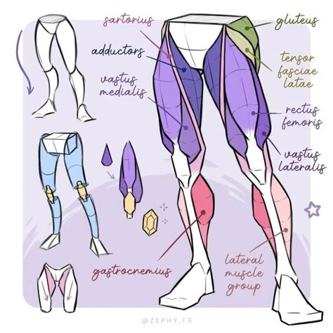 Leg Anatomy, Human Body Drawing, Anatomy Studies, Anatomy Tutorial, Body Drawing Tutorial, Human Anatomy Drawing, Human Anatomy Art, Anatomy Sketches, Body Reference Drawing