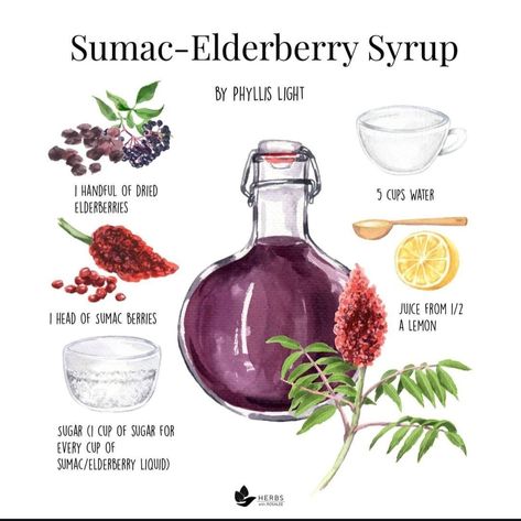 Elderberry Elixir, Herbalism Recipes, Dessert Companion, Medicinal Herbs Remedies, Berry Syrup, Herbs Medicinal, Elderberry Juice, Elderberry Recipes, Voodoo Magic