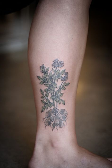 kirsten makes tattoos Potato Bug Tattoo, Inhaler Tattoo, Potato Tattoo, Potato Plant, State Tattoos, Louis Sachar, Simple Tattoos For Women, Pumpkin Tattoo, M Tattoos