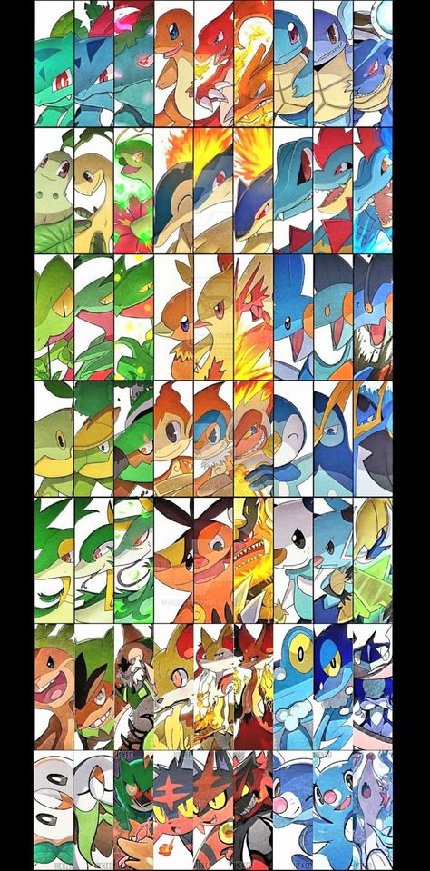 Pokemon Starter Evolutions, Pokemon Starter, Pokemon Starters, Eevee Evolutions, Pokemon Fan Art, Pocket Monsters, Pokemon Fan, Pokemon Art, League Of Legends