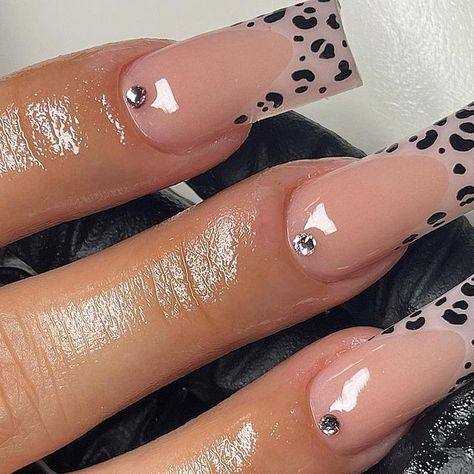 NxE on Instagram: "Cheetah French 🐆💓  #nails#dfwnails#fwnails#longnails#cheetahnails#glossynails" Simple Cheetah Nails, Short French Tip Nails, Cheetah Print Nails, Classy Acrylic, Girly Acrylic, Cheetah Nails, Leopard Print Nails, Girly Acrylic Nails, Leopard Nails