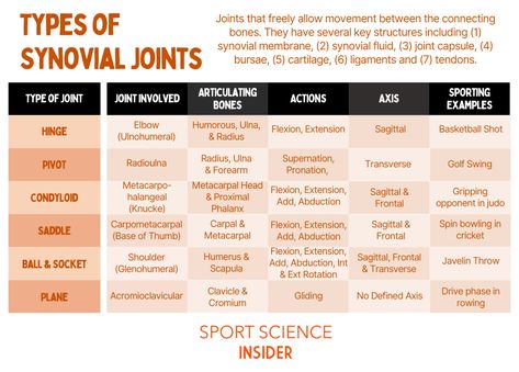 Body Joints Anatomy, Classification Of Joints Anatomy, Classification Of Joints, Types Of Joints Human Body, Types Of Joints Anatomy, Joints Anatomy Notes, Synovial Joints, Types Of Joints, Human Joints