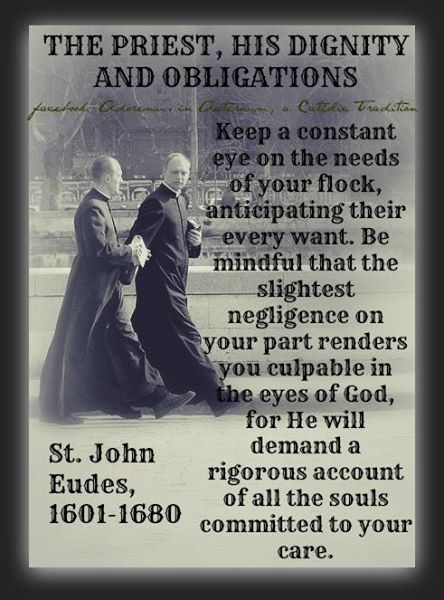 The Priest, His Dignity and Obligations Priest Quotes, Holy Orders, Royal Priesthood, Traditional Catholicism, Beautiful Angels, Catholic Images, Catholic Priest, Saint Quotes, Catholic Quotes