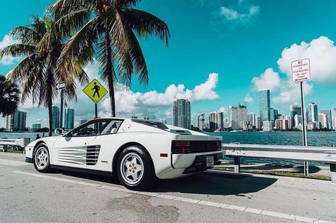 1980s White Ferrari in Miami Florida. Palm trees in background Miami Vice Theme, Ferrari 2017, Ferrari 348, White Ferrari, Ferrari 599, Ferrari Testarossa, Miami Vice, Ferrari Car, Classy Cars