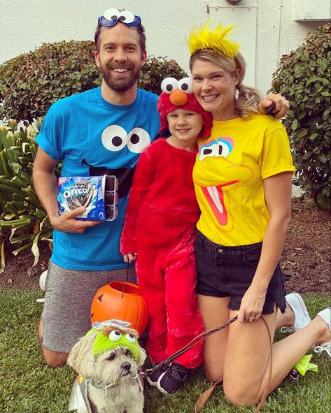 Haoween Family Costumes Sesame Street Halloween Costumes Family, Family Sesame Street Costumes, Sesame Street Family Costume, Sesame Street Halloween Costumes, Big Bird Costume, Family Costumes Diy, Family Themed Halloween Costumes, Family Halloween Costume, Halloween Costumes For Family