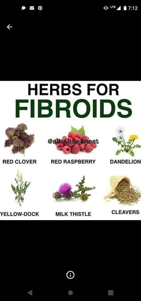 Best Herbs For Fibroid, Fibroid Shrinking Herbs, Womb Herbs, Fibroid Remedies, Women Health Vitamins, Woman's Health, Holistic Meals, Alkaline Diet Recipes, Chakra Healing Meditation