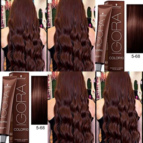 5.68 Hair Color, Dark Light Brown Hair, Goldwell Color Chart, Igora Hair Color, Cinnamon Brown Hair, Tortoiseshell Hair, Schwarzkopf Hair Color, Brown Hair Looks, Hair Tint