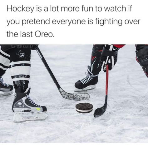 Funny Hockey, Funny Hockey Pictures, Hockey Quotes Funny Hilarious, Hockey Players Funny, Hockey Funny Memes, Dallas Stars Hockey, Hockey Goalie Memes, Hockey Boards, Oilers Hockey