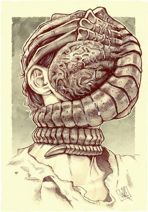 Facehugger Facehugger Drawing, Facehugger Tattoo, Xenomorph Facehugger, Facehugger Alien, Aliens Movie Art, Alien Facehugger, Giger Alien, Predator Alien Art, Giger Art