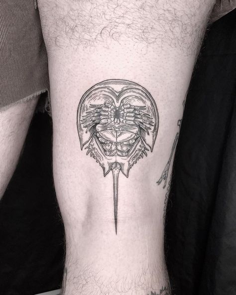 Cool Shaded Tattoos, Horshoe Crab Tatoos, Katy Wiedemann, Horseshoe Crab Tattoo, Elbow Ditch Tattoo, Over The Knee Tattoo, Philosophy Tattoos, Scientific Tattoo, Tatts Ideas