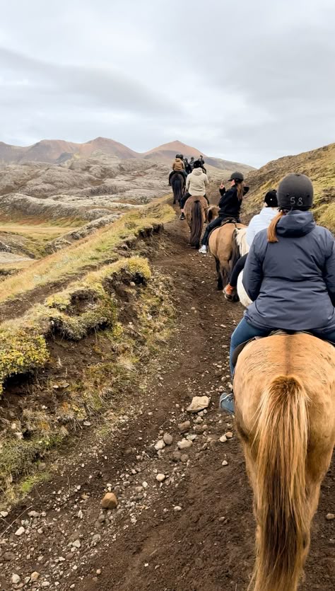 Horseback riding in Mosfellsbær, Iceland. #icelandichorse #horse #horsebackriding #ridingahorse #Mosfellsbær #iceland #mountain #mountainriding #nature #wildlife #saddle #whitehorse #creamhorse #beigehorse #icelandhorse #riding #activity #fall2023 #mountainside #path Mountain Horse Riding, Iceland Horseback Riding, Hiking In Iceland, Icelandic Horse Riding, Mountain Life Aesthetic, Iceland Aesthetic, Wanderlust Aesthetic, Iceland Trip, Travel Vibes