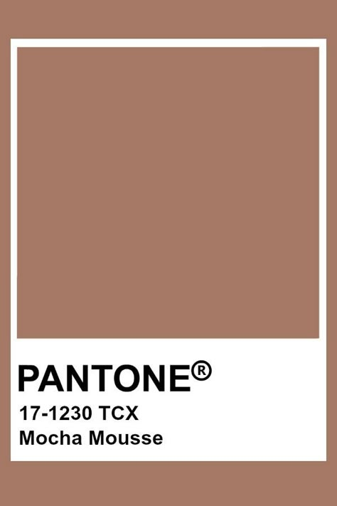 Pantone Mocha Mousse Mocha Colour Palette, Mocha Mousse Pantone, Mocha Color Palette, Spring Summer 2023 Trends, Pantone Brown, Summer 2023 Trends, Brown Pantone, Color Of The Year 2022, Mocha Mousse