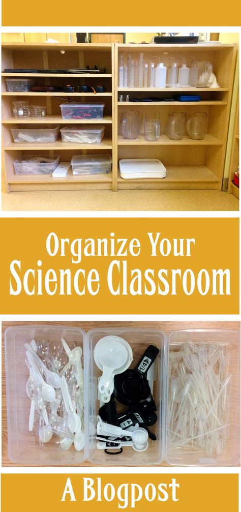 Here’s the third installment of my blog series on organizing a science classroom. What can you display in your classroom to make it look and feel more like a science classroom? To read this entry, click the link. Lab Organization, Science Lab Classroom, Science Classroom Organization, Home Science Lab Room, Lab Science, Elementary Science Lab Classroom, School Science Lab, Classroom Organization Middle School Science, Classroom Displays Secondary