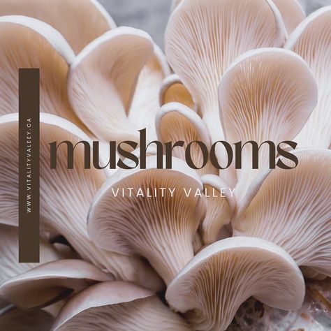 Vitality Valleys is proud to present our premium mushroom collection that features a diverse range of organic mushroom blends and supplements! 🌱💫 Each meticulously crafted to enhance your health and vitality from boosting, energy and cognitive function to supporting immune health and overall well-being. Our collection harnesses the natural power of mushroom to help you thrive! 🌟Explore range of high-quality 100% natural products and discover how our mushroom collection can transform your dail... Mushroom Collection, Benefits Of Nature, Health And Vitality, Vegan Healthy, Wellness Journey, Immune Health, Natural Wellness, Natural Products, Boost Energy