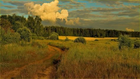 Dirt Road, Nature Aesthetic, Pretty Places, The Birds, Pretty Pictures, Mother Nature, Landscape Photography, See More, Beautiful Places