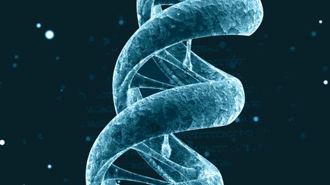 dna Dna Facts, Social Learning Theory, Norms And Values, Nature Vs Nurture, Human Dna, Human Genome, Powerpoint Background, Genetic Engineering, Mad Science