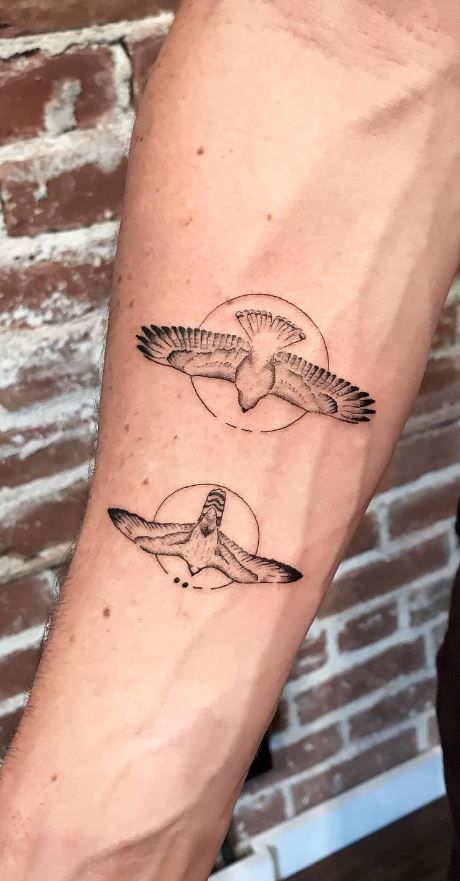 Hawk Tatoos, Hawk Tattoos, Bird Of Prey Tattoo, Falcon Tattoo, Bird Tattoo Sleeves, Parrot Tattoo, Science Tattoos, Artsy Tattoos, Hawk Tattoo