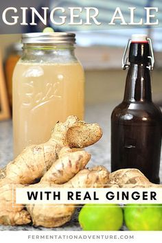 Ginger Ale Recipe, Making Ginger Beer, Ginger Beer Recipe, Homemade Ginger Beer, Homemade Ginger Ale, Ginger Bug, Beer Recipe, Kefir Recipes, Ginger Drink