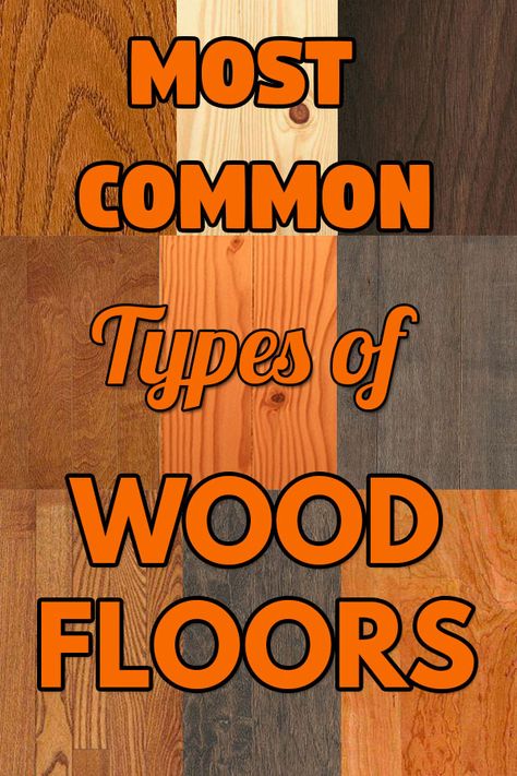 A list of the ten most common types of wood used for wood floors. These are all hardwoods grown in the United States, except for Bamboo. Oak flooring is the most common type of hardwood in the US. When shopping for a hardwood floor be informed of your options, the pros and cons of each and what to look for. Tigerwood Flooring, Types Of Hardwood Floors, Bamboo Wood Flooring, Wood Floor Colors, Refinish Wood Floors, Warm Wood Flooring, Maple Hardwood Floors, Types Of Wood Flooring, Old Wood Floors