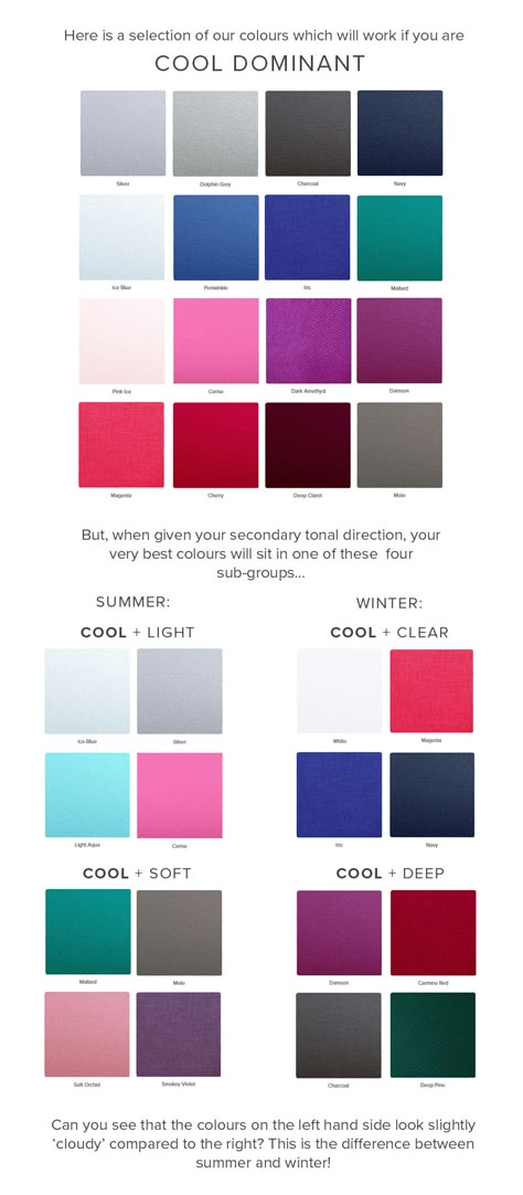 Cool Winter Tone Outfits, Cool Tone Clothes Color Palettes, Cool Toned Fall Outfits, True Winter Color Analysis, Cool Winter Vs Cool Summer, Cool Undertones Clothes, Cool Tone Outfits, Burnished Winter, Jewel Winter