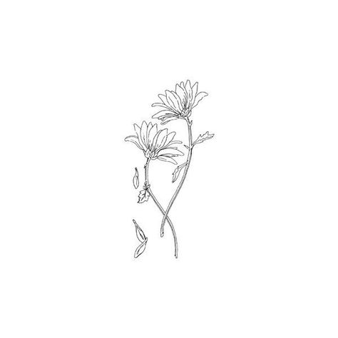 Daisy With Leaves Tattoo, Chamomile Tattoo, Daisy Chain Tattoo, Drawn Daisy, Dahlia Tattoo, Line Drawing Tattoos, Tiny Flower Tattoos, Daisy Drawing, Chain Tattoo