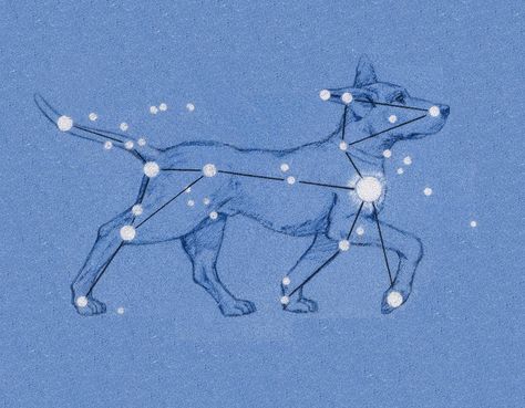 Canis Major, The Dog Star, Constellation Tattoos, Star Constellations, Traditional Tattoo Flash, Zodiac Constellations, Dog Tattoos, Star Sky, Bright Stars