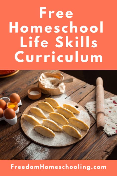 Homeschool Life Skills, Homeschool Electives, Life Skills Curriculum, Economics Lessons, Life Skills Lessons, Free Homeschool Curriculum, Teaching Life Skills, Homeschool Education, Homeschool High School