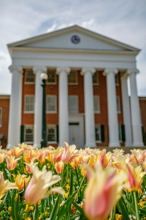 Ole Miss Lyceum Ole Miss Aesthetic, Ole Miss Campus, Ole Miss Football, College Ideas, Hotty Toddy, Ole Miss Rebels, Grad Student, Engagement Pics, Ole Miss