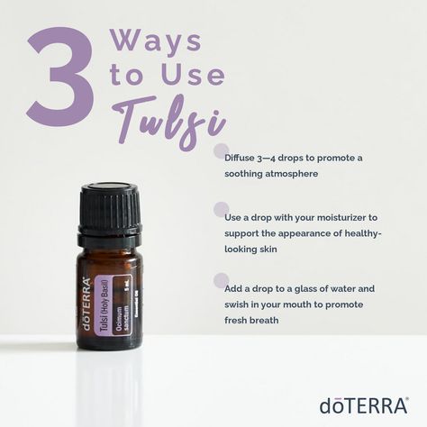 💜❔💜 Wondering how to use Tulsi? Tulsi, also called Holy Basil, has cleansing properties that make it useful for skin care and oral hygiene. I can’t wait to add it to my daily self-care routine! 👏 http://www.doterra.com/US/en/education/pe/tulsi-holy-basil-oil?OwnerID=8543838 #holybasil #aromatherapy #naturalcleaners #naturalcleaningproducts #naturalhealthremedies #naturalremedies Holy Basil Essential Oil, Mother Health, Essential Oil Products, Basil Essential Oil, Lemongrass Tea, Essential Oil Safety, Essential Oil Companies, Oils For Health, What Are Essential Oils