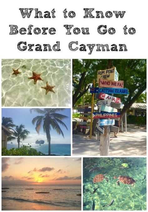 10 Things to Know Before You Go to Grand Cayman - Kidventurous Grand Cayman Islands, Cayman Islands Resorts, Cayman Brac, Grand Cayman Island, Cayman Island, Western Caribbean, Caribbean Vacations, Travel Spots, Caribbean Travel