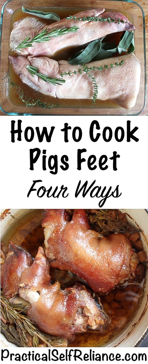 How to Cook Pig Feet Pigs Trotters Recipe, Pig Trotters Recipes, Baked Pig Feet Recipe, Pork Feet Recipe, Pickled Pigs Feet Recipe, Pork Trotters, Trotters Recipe, Pig Feet Recipe, Offal Recipes